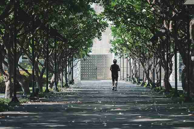 技术解密《榴莲社区app》粉丝经济核心要点（265 ）